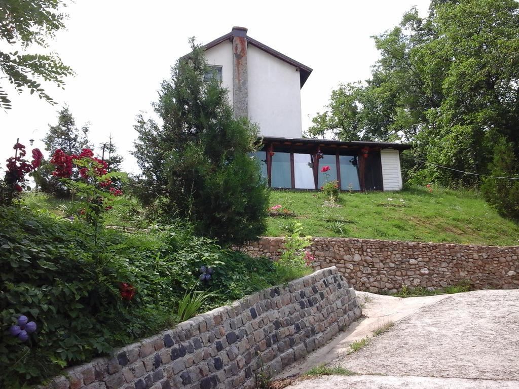 فيلا Casa Piscul Lupului Pucioasa المظهر الخارجي الصورة